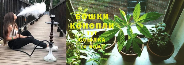 прущая мука Няндома