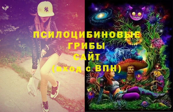 марихуана Весьегонск