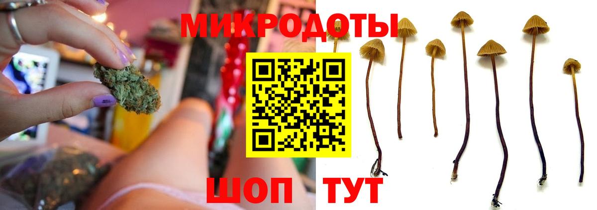Печора  Галлюциногенные грибы ЛСД  Галлюциногенные грибы Psilocybe  Вход с VPN 